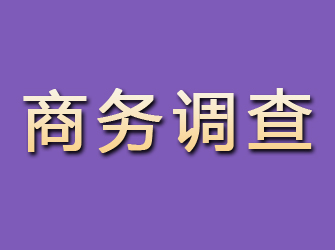 溫州商務調查